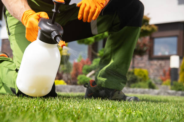 Best Local Pest Control Services  in Paddock Lake, WI