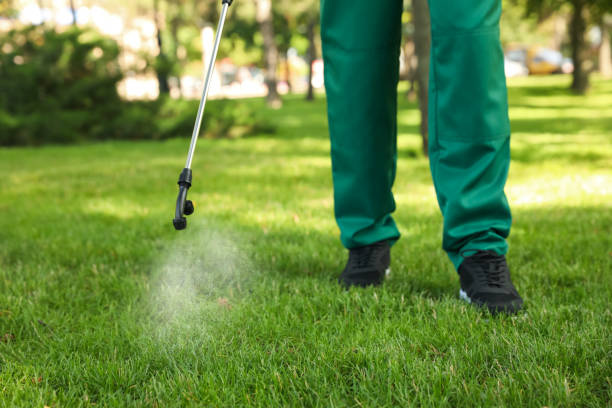 Best Wasp Removal Services  in Paddock Lake, WI