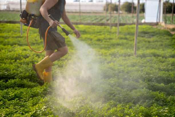 Best Exterminator Services  in Paddock Lake, WI